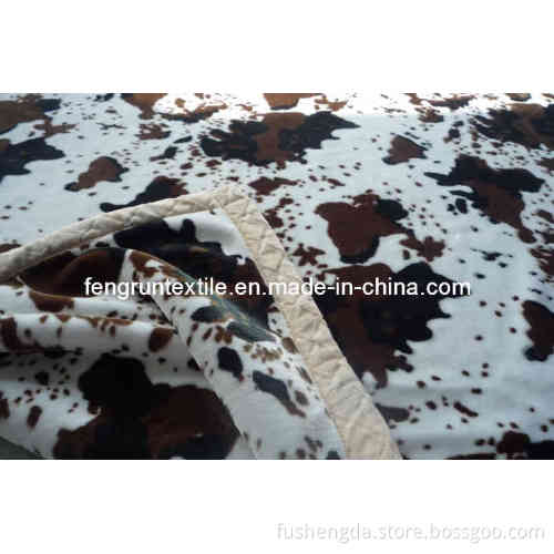Raschel/Polyester Blanket